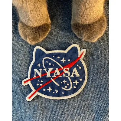 Iphone с планетами фона логотипа наса. Мы на государственное агентство NASA  Редакционное Фото - изображение насчитывающей кеннедай, галактика: 171212396