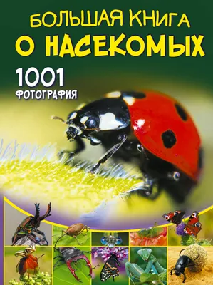 12 шт., реалистичные фигурки насекомых, дикие животные, искусственные  насекомые, игрушки на Хэллоуин, искусственные насекомые, проект школьного  обучения, набор насекомых для детей, малышей | AliExpress