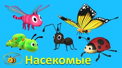 Мемо «Мир насекомых и не только» – Настольные игры – магазин 22Games.net