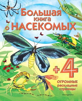 5 насекомых, которые могут жить у вас в доме и причинять вред здоровью