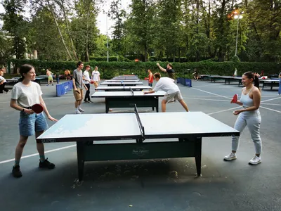 Настольный теннис | Молодежный Центр «Галактика» филиал «Филёвский парк»