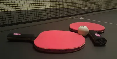Настольный теннис (пинг понг) в аренду за 9000 рублей
