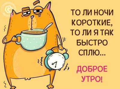 Очень весело Когда нет настроения 😒 #sad@tgstickers #depression #кот #злой  #telegram #стикеры.. | ВКонтакте