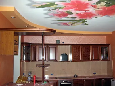 Натяжные двухуровневые потолки для кухни (17 фото)