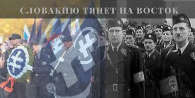Нацизм на экспорт ️ Как США поставляют неонацистов на Украину | ZGS.TV |  Дзен