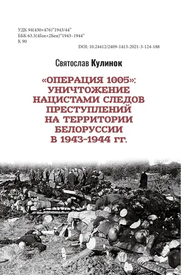 В Австралии расследуют нацистские приветствия фанатов на финале Кубка страны