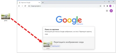 Поиск по картинке Google и Яндекс: как искать фото