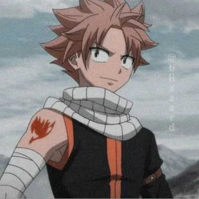 Нацу Драгнил/Natsu Dragnil | Fairy tail art, Fairy tail anime, Natsu fairy  tail