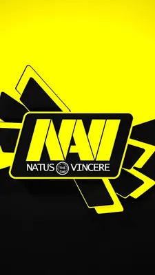 Navi cs go