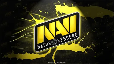 Natus Vincere Organization Overview | Esports Charts