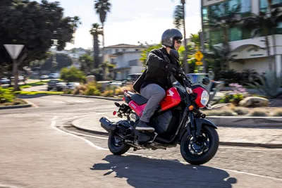 2022 Honda Navi | First Ride Review | Rider Magazine