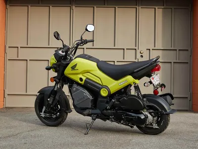 Is The Crazy Cheap New Honda Navi The BEST Option Under $2K — Or Should You  Get A Used Grom Instead? - YouTube