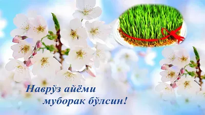 Alisher Mirsadikov on X: \"Navruz bayrami muborak bosin. #NavrUz #navruz  #21mart #uzbekistan https://t.co/ojEhAfQMcI\" / X