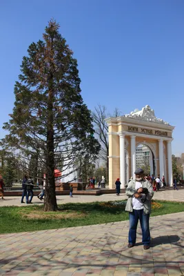 Dushanbe City - Навруз муборак, дорогие друзья!🎊 От имени... | Facebook