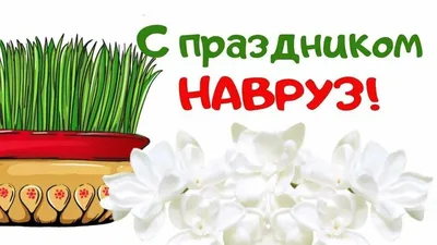 Поздравляем с праздником Навруз! - Свободная экономическая зона Сугд