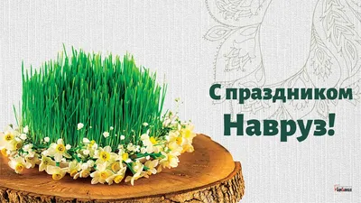Поздравляем с днём цветения, весны и оживления природы — праздником Навруз!
