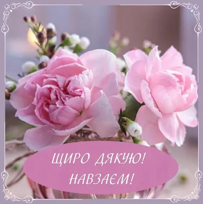Pin by Alla on Дякую, ввічливість | Thankful, Picture, Thank you