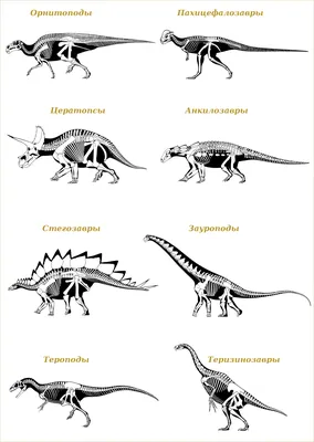 Название динозавров