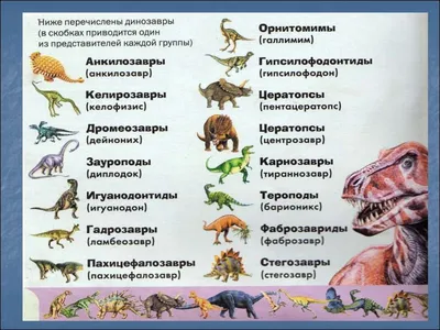 Обучающая подборка ? фото динозавров с названиями для детей