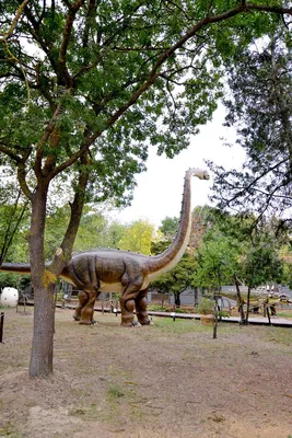 Динозавры: Необычные названия | Пикабу