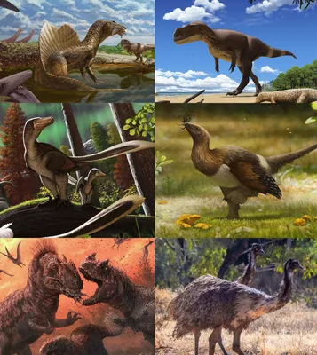 Самые нелепые названия динозавров — когда у ученых есть чувство юмора! |  Жизнь Земли | Дзен