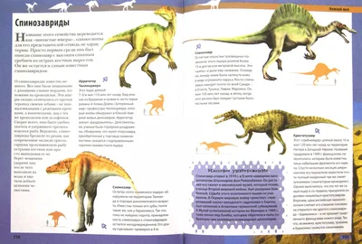 Купить книгу «Динозавры в натуральную величину», Раймунд Фрей |  Издательство «Махаон», ISBN: 978-5-389-20813-1