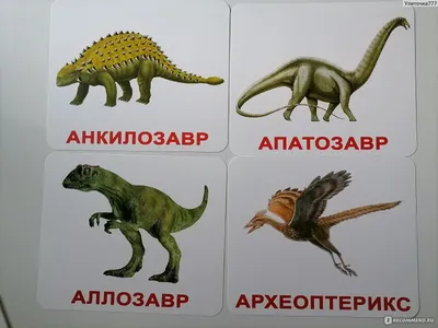 Вундеркинд с пеленок Набор обучающих карточек \"Динозавры\" - «Для любителей  динозавров» | отзывы