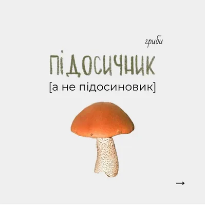 Как правильно называть на украинском языке наиболее распространенные виды  грибов