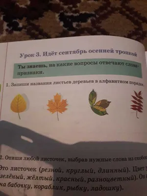 Запишите названия листьев деревьев в алфавитном порядке Пожалуйста -  Школьные Знания.com
