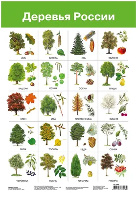 18 листьев, Горшечное растение, большая фотосессия, искусственное дерево,  искусственное дерево, листья для дома, сада, Свадебный декор | AliExpress