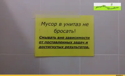 Почему на самом деле нельзя бросать в унитаз туалетную бумагу: жаль раньше  не знали