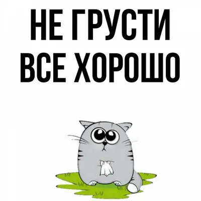 Не грусти, всё будет хорошо». В соцсетях начали публиковать фотографии в  красном в поддержку семьи Навальных