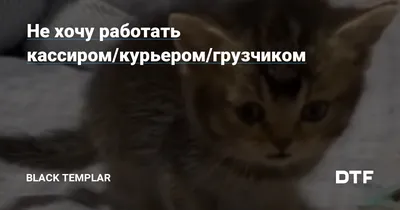 Запись #34 …я устал, не хочу работать! — Lada Приора седан, 1,6 л, 2015  года | визит на сервис | DRIVE2