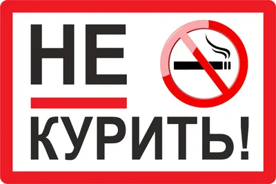 Не пью,не курю... Плакат купить за 690 ₽ в интернет-магазине Print Bar  NDP-728790-plk