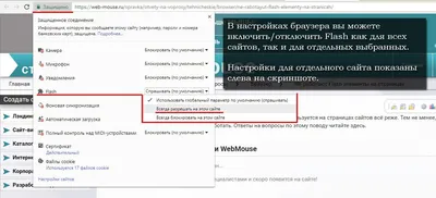 Не открываются Ответы mail.ru при включенной защите от отслеживания |  Vivaldi Forum
