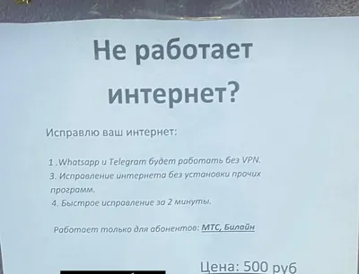 Как наказать интернет-мошенников и не попасть в беду: пошаговый алгоритм  действий | Хайтек | Дзен