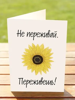 Не выдумывай, не усложняй, не волнуйся. Пей кофе и вали на работу. -  АйДаПрикол | Дневные цитаты, Юмор о работе, Медицинский юмор