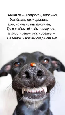 Открытки открытки не грусти открытки не грусти...