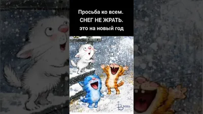 Просьба ко всем, снег не жрать! Это на Новый год! Первый снег на Кубани. -  YouTube