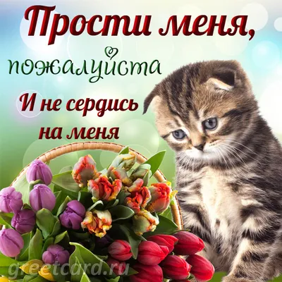 Анна Михайловская - Не кричи, не обижайся, не плачь, не злись... Это  запреты на чувства. Знакомо? Да! Мне тоже ⠀ С детства большинство родителей  воспитывают удобных для себя детей. ⠀ Если в