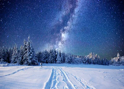 Картинки Звезды Ель зимние Природа лес Небо снеге Ночь
