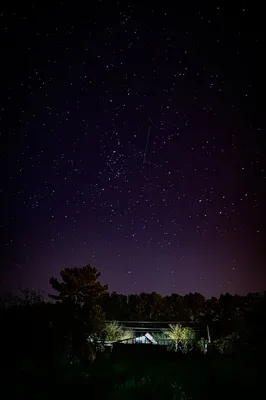 Таинство сельского неба ночью — Фото №1302858