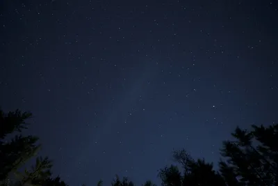 Бесплатное изображение: Стрельба, деревья, ночь, ночное небо, звезды