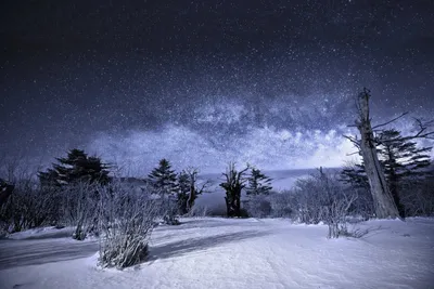 Зимнее небо ночью (51 фото) - 51 фото