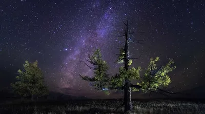 Вектор Ночь Starry Sky Background — стоковая векторная графика и другие  изображения на тему Звезда - Звезда, Форма звезды, Небо - iStock