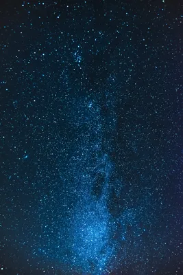 Небо звезды лес - 72 фото