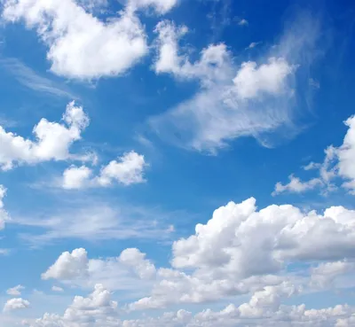 Голубое небо, реалистично, крупным …» — создано в Шедевруме