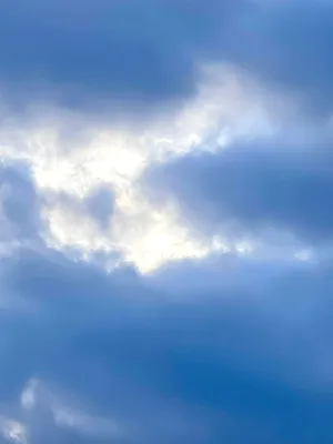 Фотообои Небо с облаками на стену. Купить фотообои Небо с облаками в  интернет-магазине WallArt