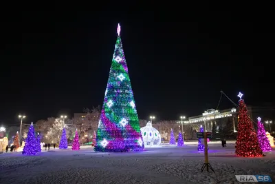 До Нового года осталась всего неделя! Если ещё не успели, то самое время  устанавливать ёлку. Какую?