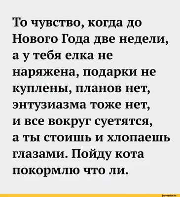 Неделя до Нового года: крохотные и грандиозные идеи, которые можно  воплотить за несколько дней - 25 ноября 2022 - НГС24